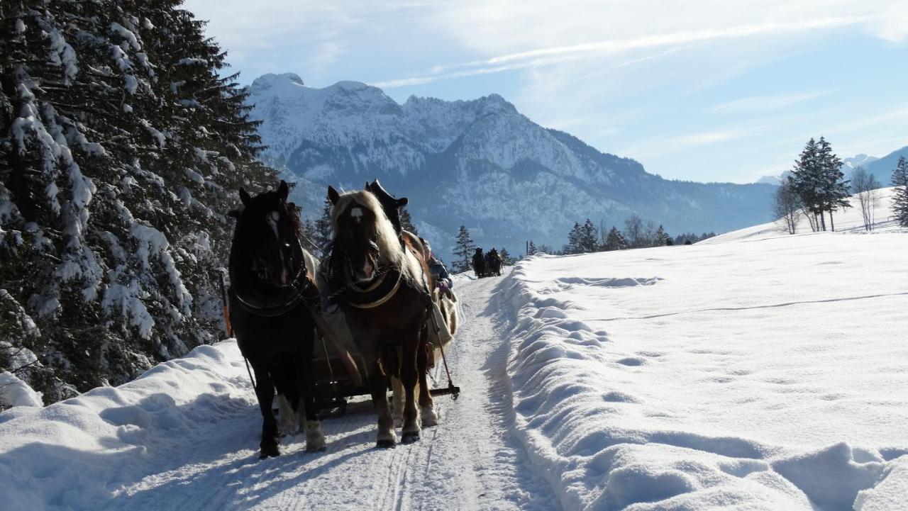 Ferienwohnung Alpenstern ريدن المظهر الخارجي الصورة